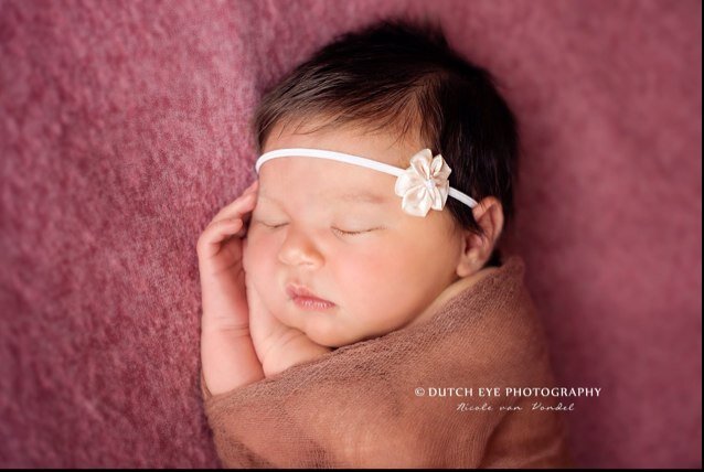 dutcheye's profile picture. Specialised in natural light Fine Art Newborn, Child, Maternity and Family photography. Contemporary photography with a style, purity and personal approach.