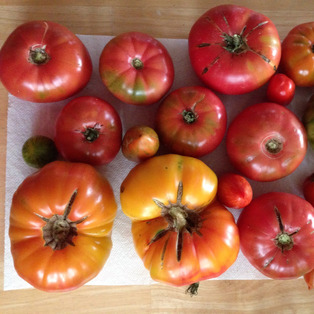 Little farm, BIG harvest.