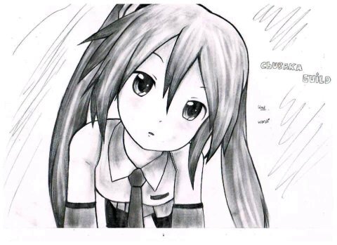 IGamers IAnimelover IMale .