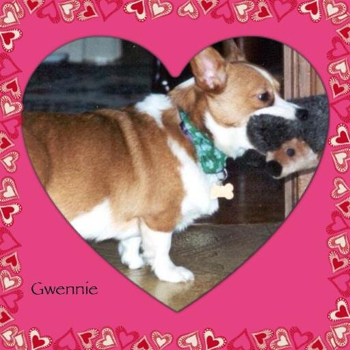 https://t.co/9K6oMYAq5M|Cricut Product Expert|Autism Mom with preternatural attraction to Corgis & Guinea Piggies|Bostonian