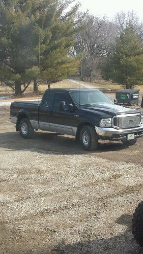 royalmansfield's profile picture. 