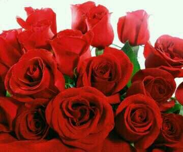 wwgbnfzgh's profile picture. 