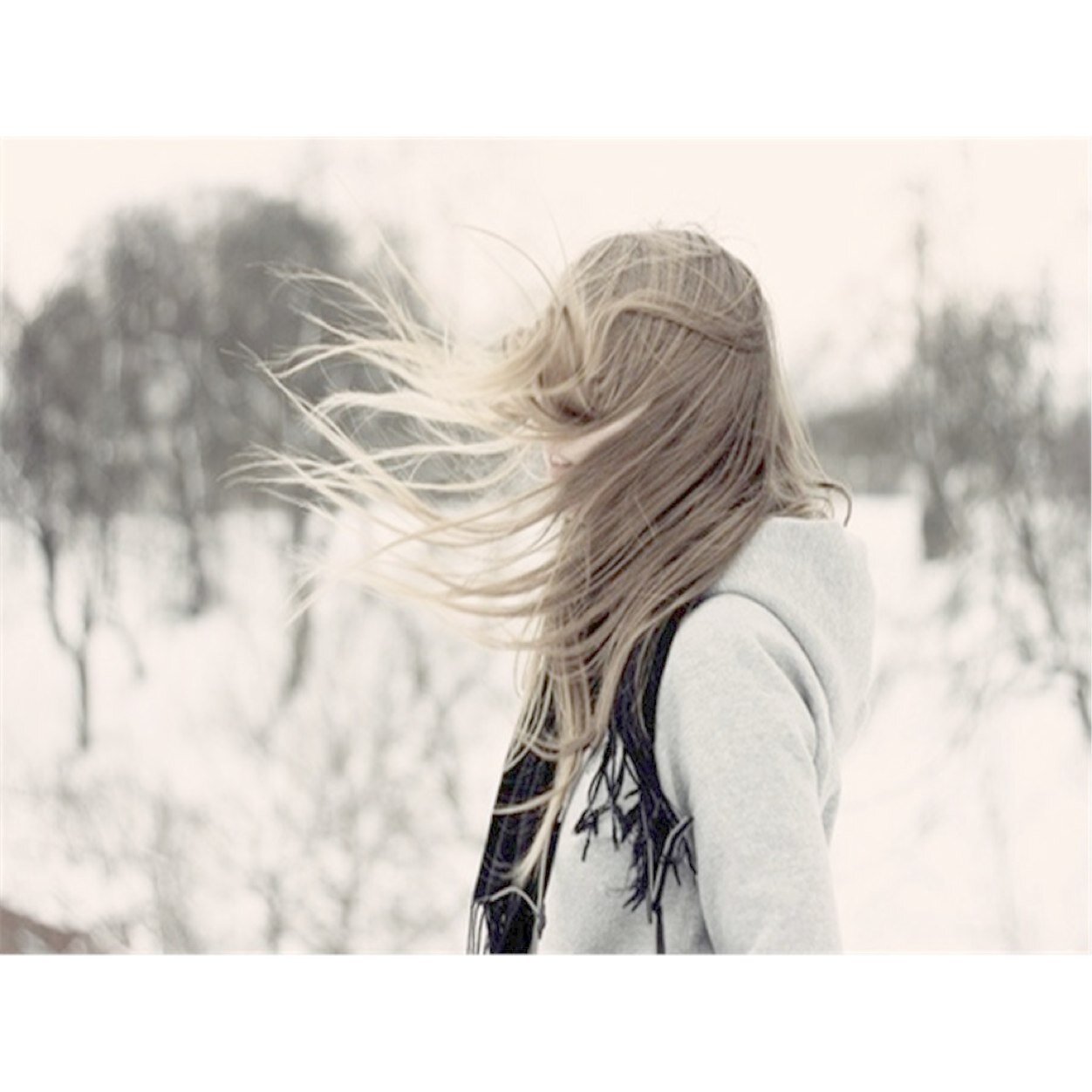 i fell in love the way you fall asleep: slowly, and then all at once