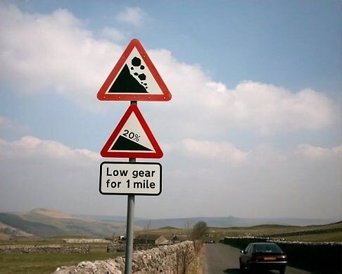 adam17335549's profile picture. modern day homosapien looking for the answers?