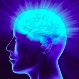 WeirdKnowledge's profile picture. Weirdest Things to Know.