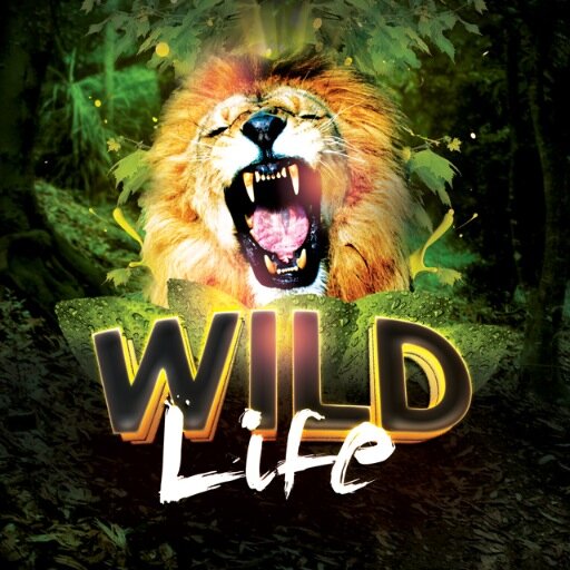 Wild Life is a monthly event at Ozzy's on Osborne. Resident DJs Gator, XVII and Auxiliary spin the best in Hip-Hop, Trap and Electro!