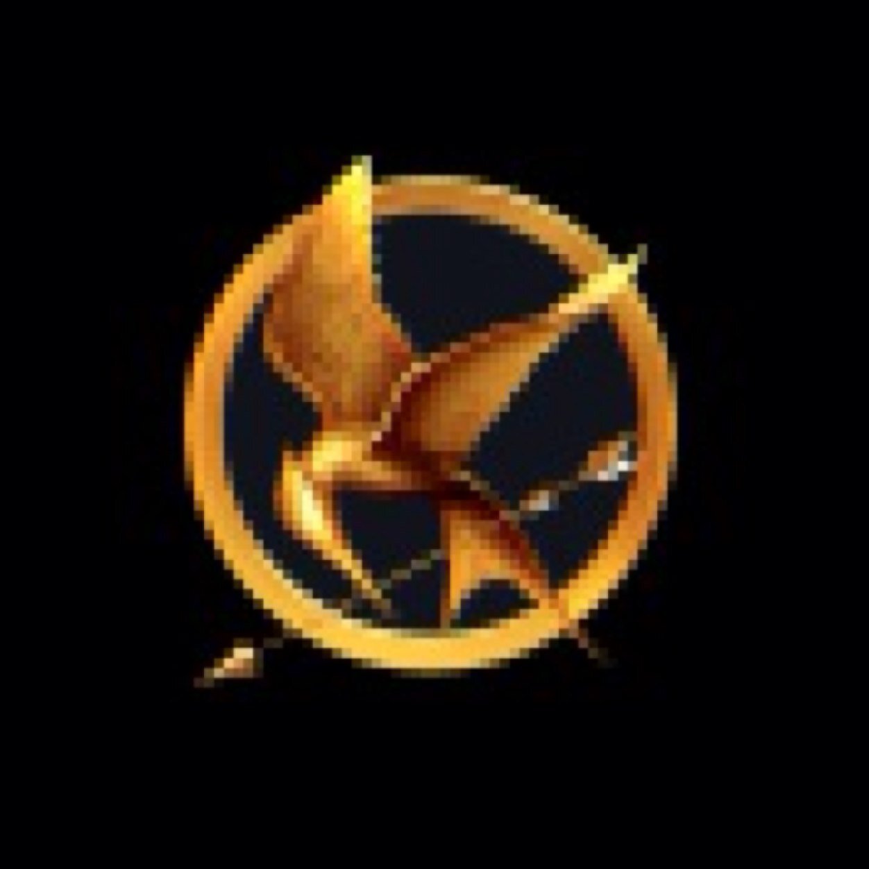 HUNGER GAMES! AND DIVERGENT!