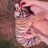 BabyAnimalPlcs's profile image