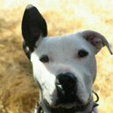 Roman Strong  - @RomanTecpaL - Twitter