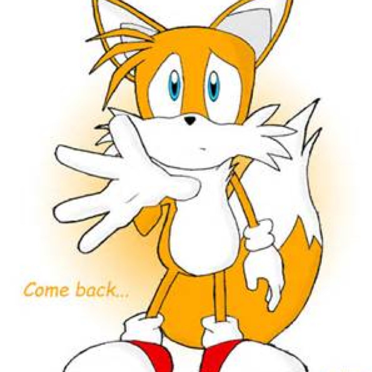 Hi im ana not related to tails can fly though and I may look like tails but im a girl