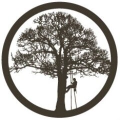 Certified Arborist and Full Service Tree Care Company