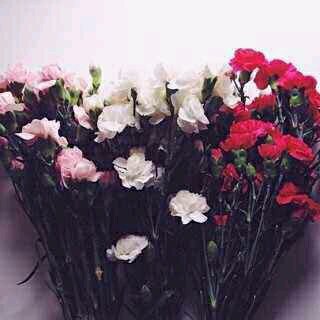 آمنت بأن الحب دعاء لذا لن أنساك يوماً من دعائي ♡