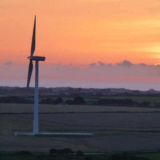 ToniGunnell's profile picture. 