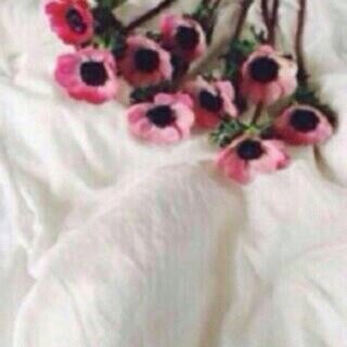 none328's profile picture. 