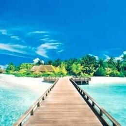 ~ Travel The World on Twitter ~