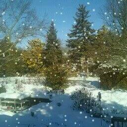 torysmith50's profile picture. Family & Friends motivate me... my job drives me ... proud transportation worker.