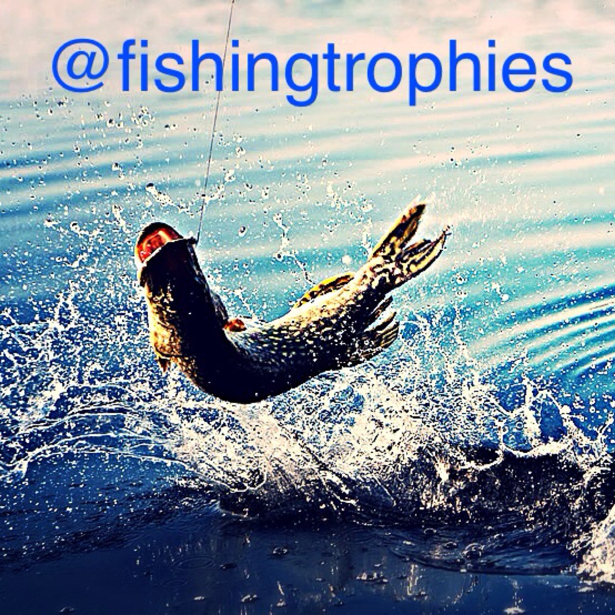 This account is 100% fishing. Tag @fishingtrophies or use #fishingtrophies to have your fishing pictures posted. We cover fishing tips also tackle reviews.