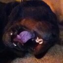 Brian Truong - @BrianTruong1 - Twitter