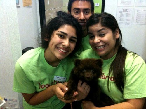 YGTLNDCLRMNT's profile picture. Welcome to Yogurtland, the land of yogurt, where all of your dreams come with sprinkles!