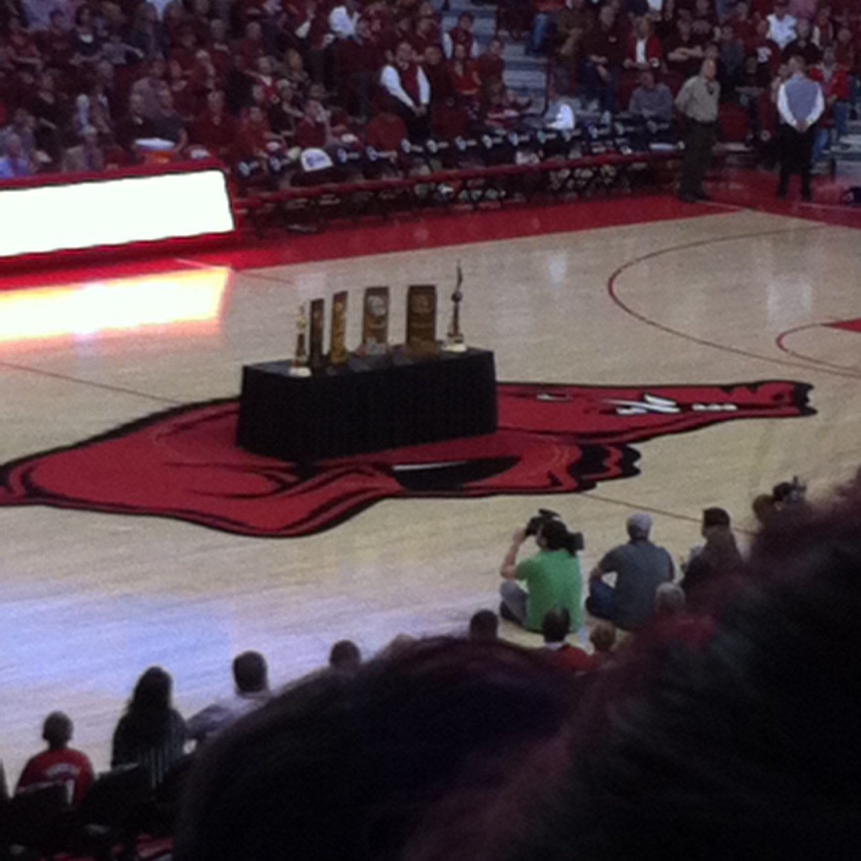 A true fan for the Arkansas Razorbacks