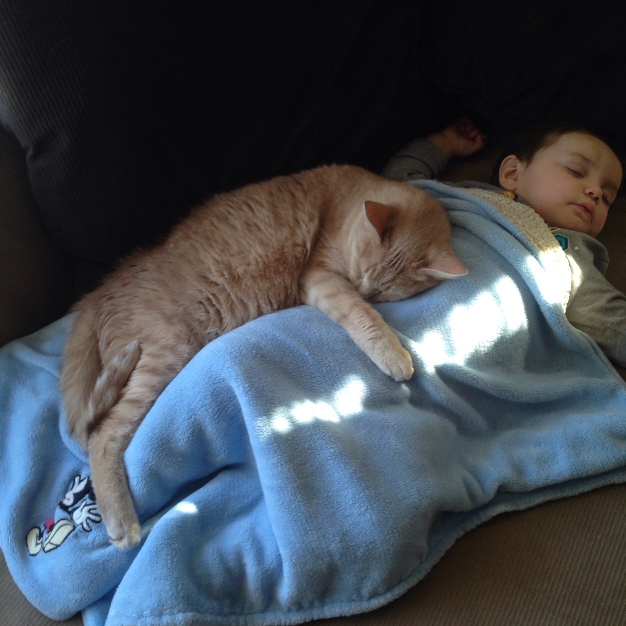 B_Angusich's profile picture. Work, work, work.. Story of my life lol