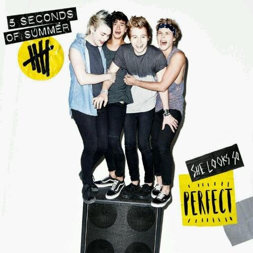 fan account for 5 Seconds Of Summer ~ Personal accounts @MKloves5SOS1D @MarieeXo16