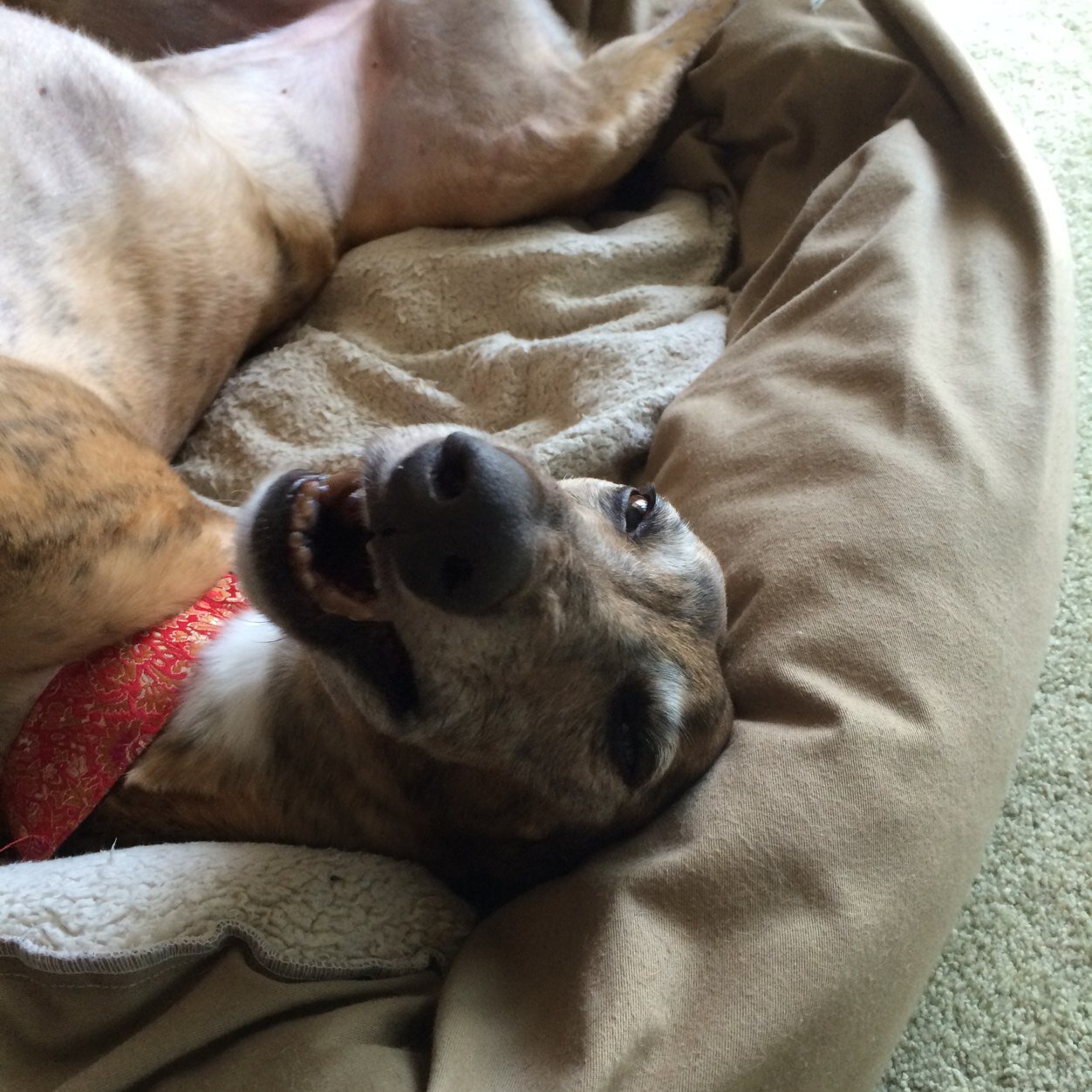 JenCompagni's profile picture. 