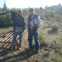 Claudio Díaz P. (@claudiofdiazp) 's Twitter Profile