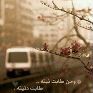 كل شيء جميل :)