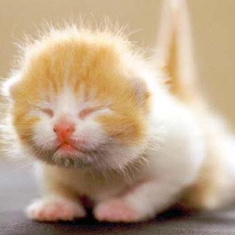 10SIFAT's profile picture. الحياة مليئة بالحجارة فلا تتعثر بها بل اجمعها وابن بها سلماً تصعد بها نحو النجا