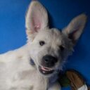 Hazel Boyle - @Dirtypawss - Twitter