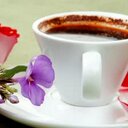 Sarah Tyson-Joseph - @solotys - Twitter