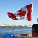 Michael Hollywood - @Stupid911 - Twitter