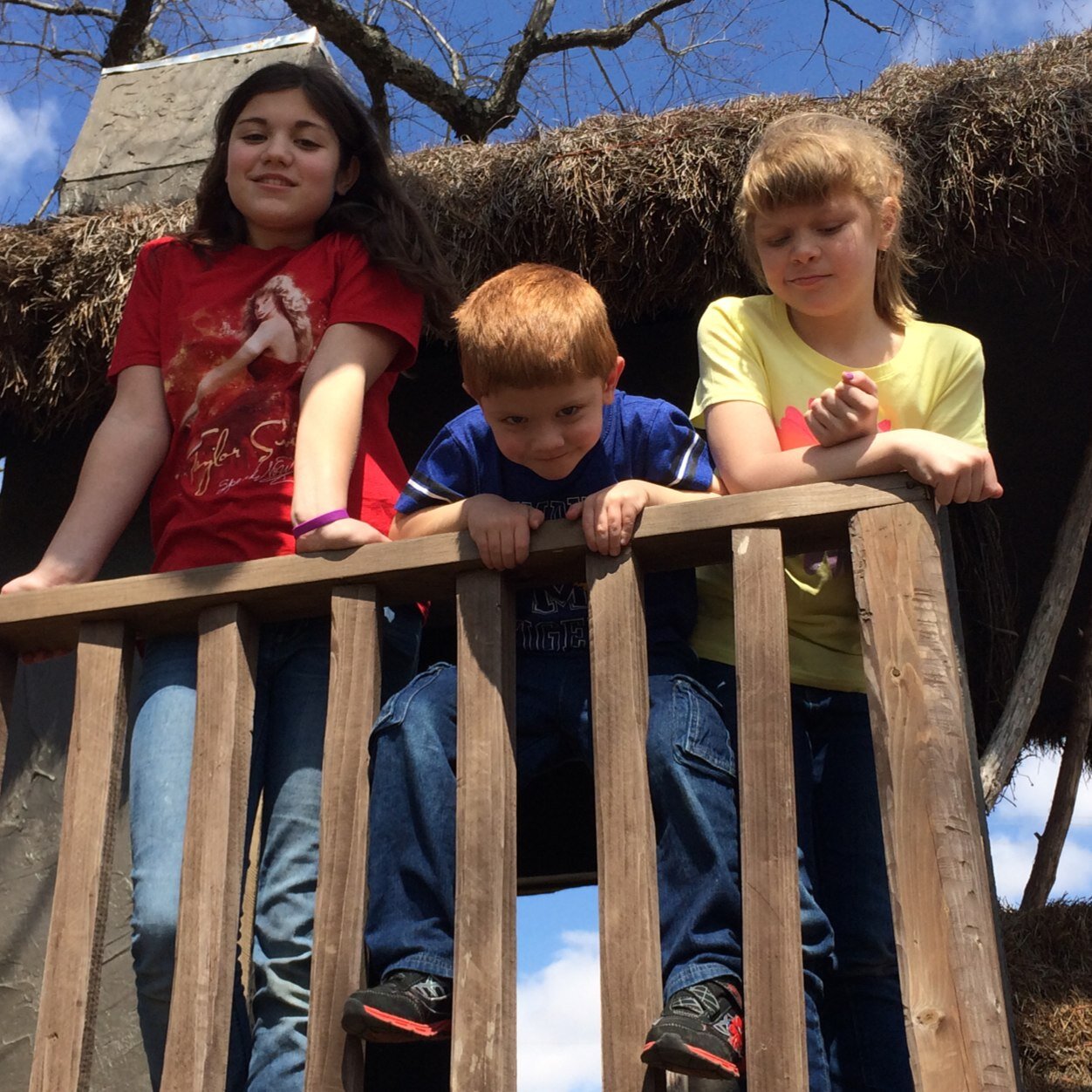 mrdonato's profile picture. 