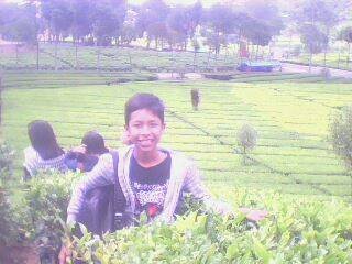 penggemar jkt 48,penggemar persib