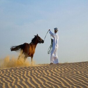 AbcosMoon1454's profile picture. شاب في الخامسة عشررِ ، طالب ثانوي ،أعشق رابح صقر ،احَ التصوير ،هلالي و مدريدي ، طموحاتي عاليهه ♥♥♥!*