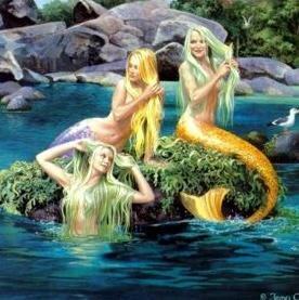 vpjus41581955's profile picture. 