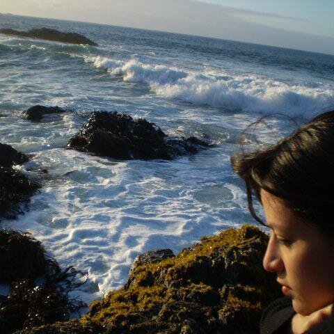Nacido en Ancud, Chiloe.
Ingeniero Civil, UdeCh. Hidrólogo-ecologista
Profesor jubilado ULA Venezuela