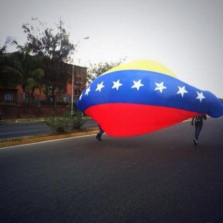 ninoskac2's profile picture. 