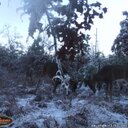 Todd Tierney - @TierneyTodd - Twitter