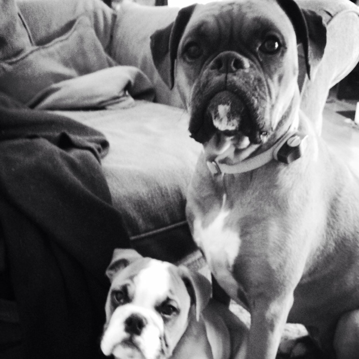 NHNHSPM's profile picture. 