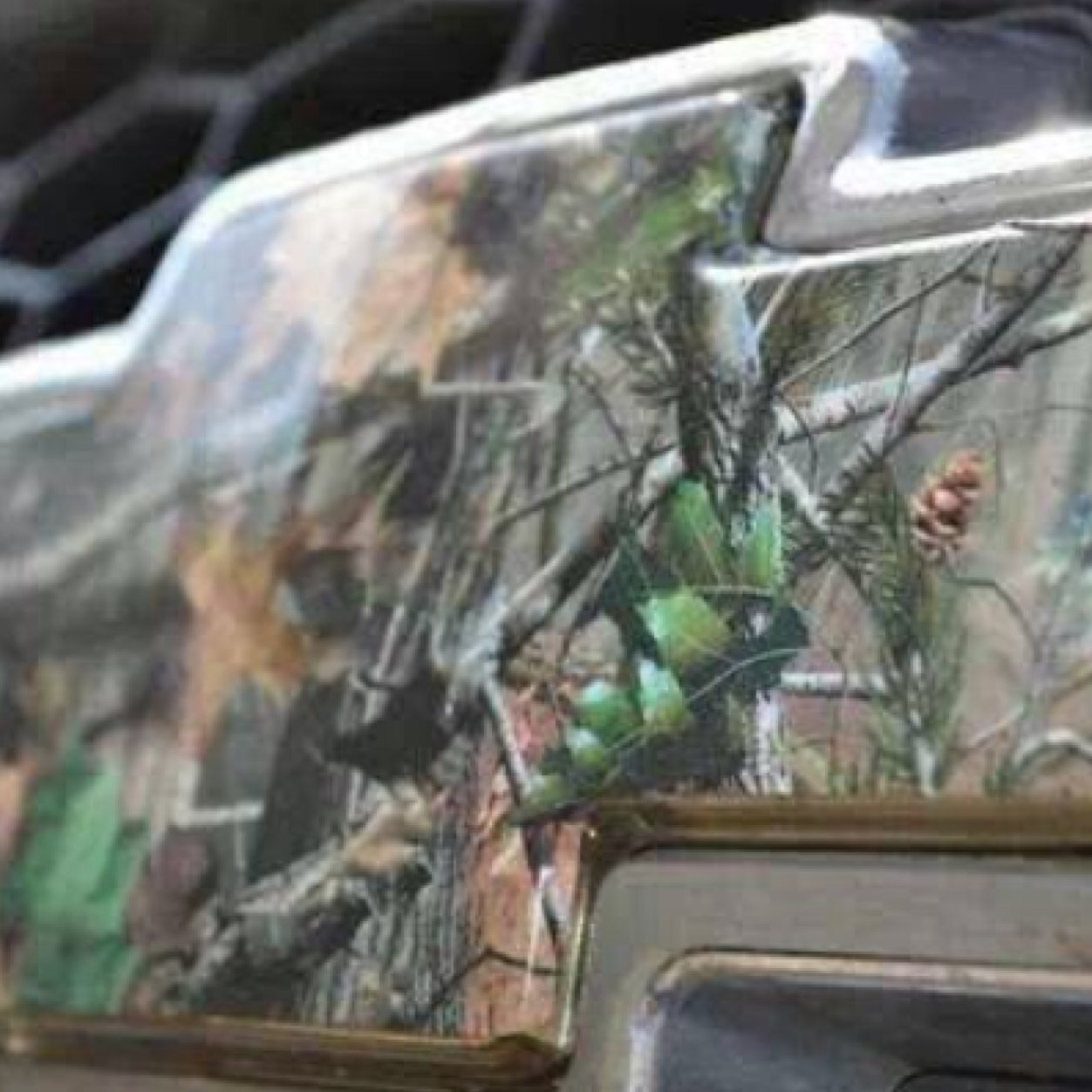 17kloose's profile picture. 