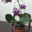 Fatima Cisneros - @fa_cisneros - Twitter