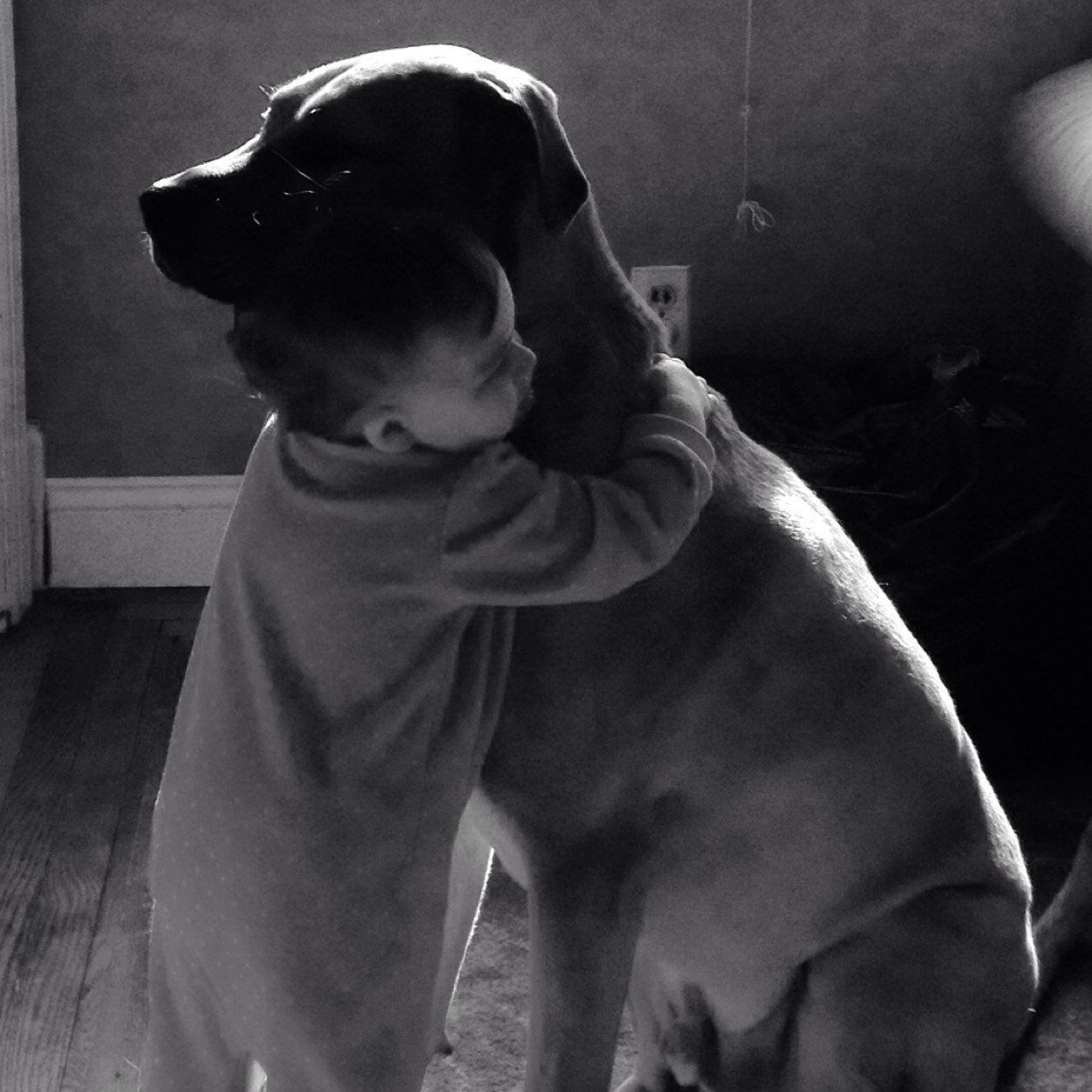 nicklevandoski1's profile picture. Nothing relevant