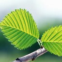 der lao - @l77018 - Twitter