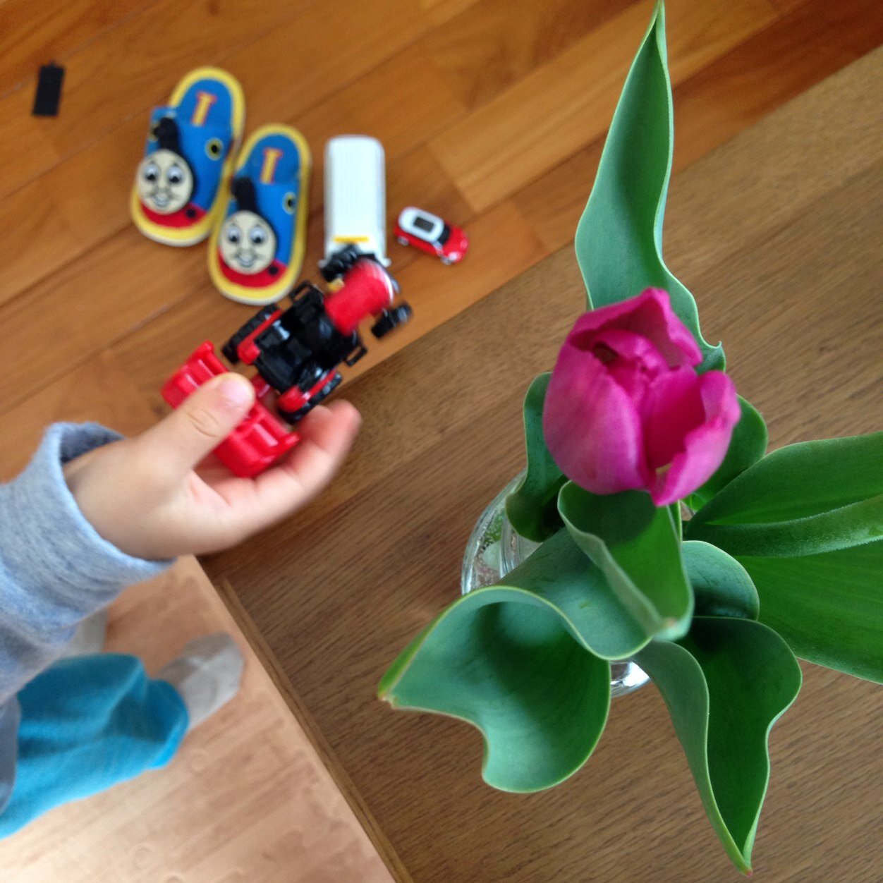 yum09sacrum15's profile picture. ４１歳の主婦、夫とこども一人。まんが読みです。最近読んでよかったのは再読した吉田秋生『YASHA』『イヴの眠り』『海街diary』2016年2月現在。