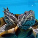 Bill Broadway - @bcubed55 - Twitter