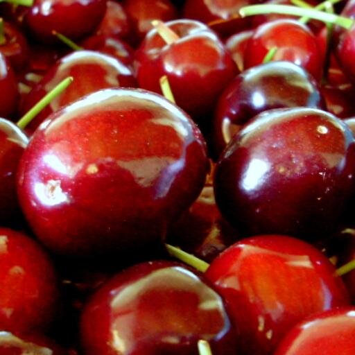 motueka's profile picture. Living in the valley of plenty