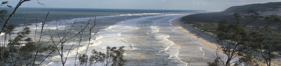 Unique_Fraser's profile picture. Providing quality 1 & 2 day tours to Fraser Island.  Specialising in small groups, big adventure!