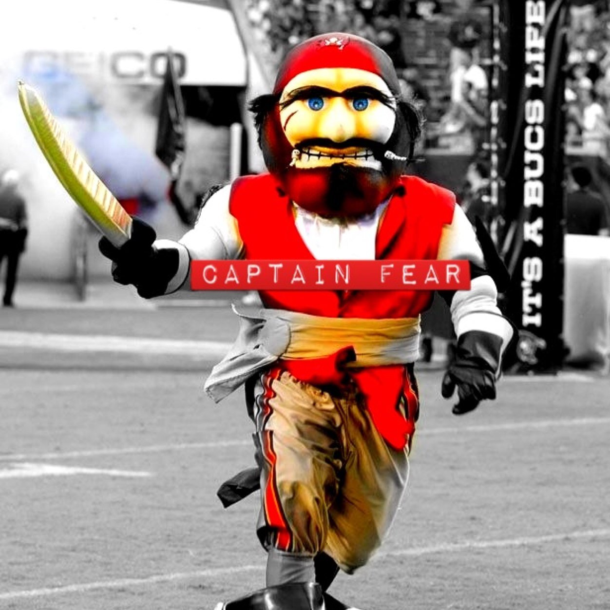 TBfan0517's profile picture. Im a fan of all tampa bay area teams